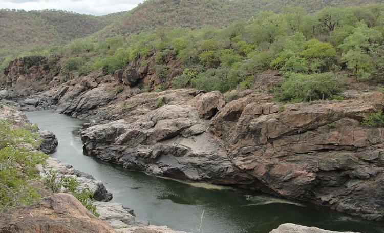 Vrishabhavathi River's water is Crystal clear after Decades