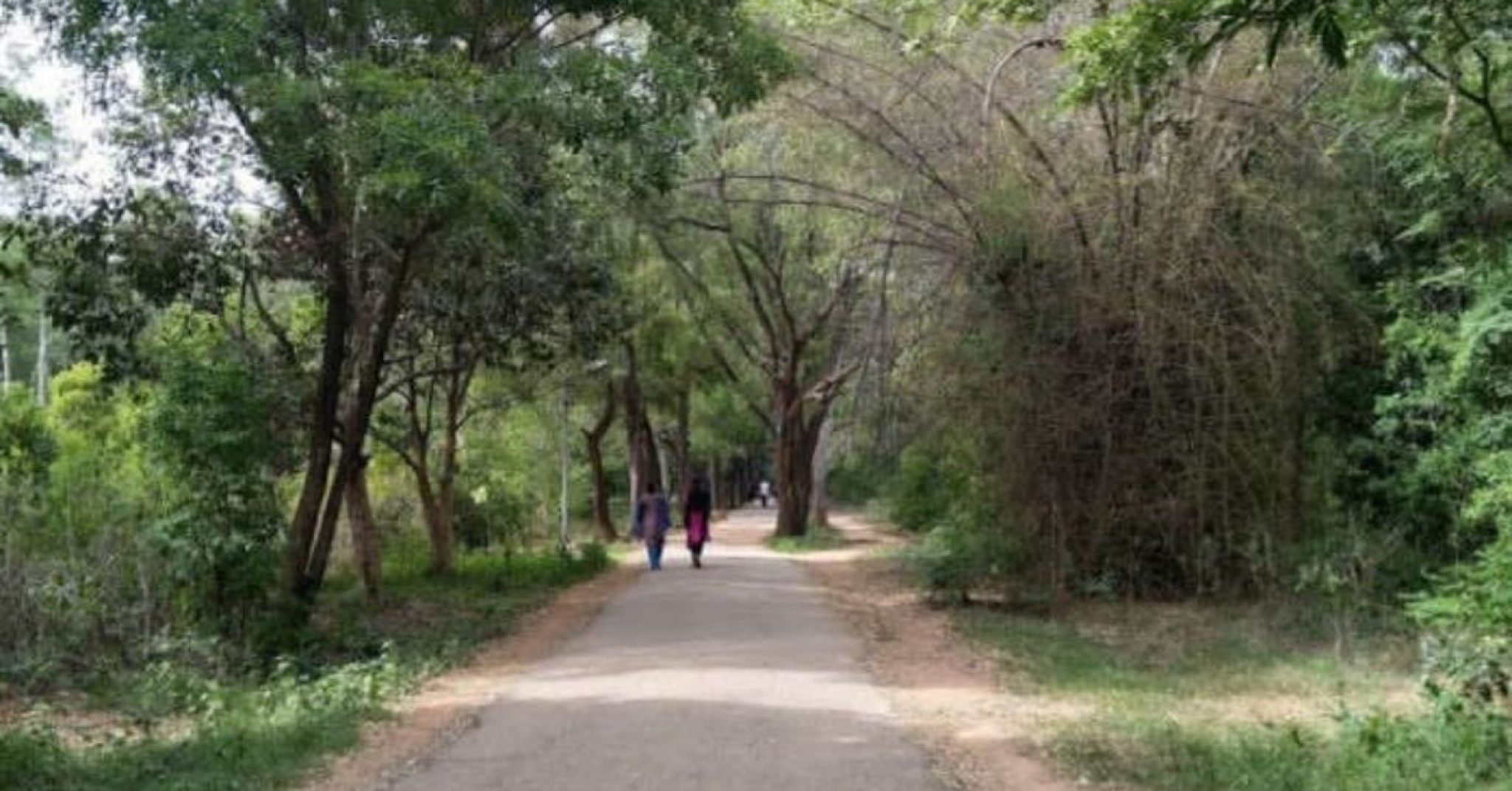 11 Things To Do While Visiting JP Nagar Best Places in JP Nagar