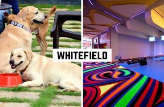 things to do in Whitefield