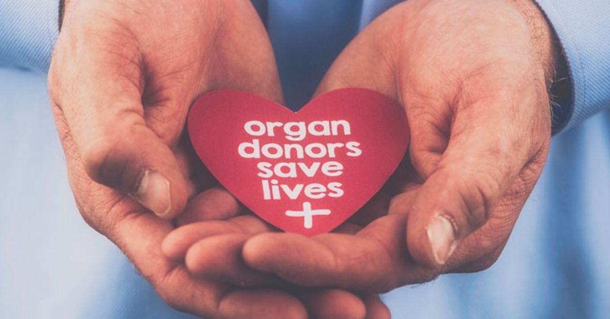 organ donation process 