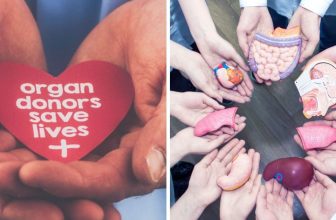 organ donation process
