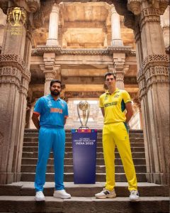 Ind vs Aus world cup final match pitch report