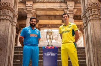 Ind vs Aus world cup final match pitch report