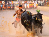 ಇತಿಹಾಸ ಪ್ರಸಿದ್ಧ ಕಂಬಳ ಈಗ ಬೆಂಗಳೂರಿನಲ್ಲಿ | Place & Date